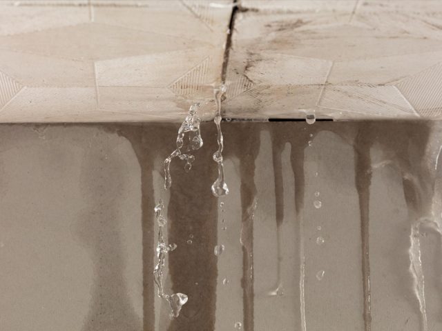 The Dangers Of Neglecting Water Leaks: From Health Risks To Costly Structural Damage