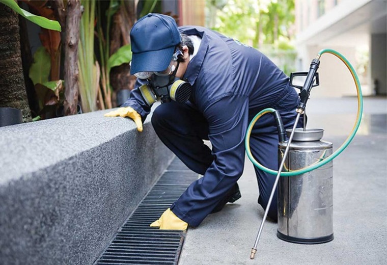 The Importance Of Regular Pest Control In Building Management ...