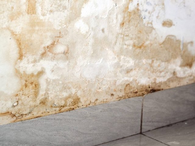 From Leak To Liability: How Water Ingress Affects Building Structure