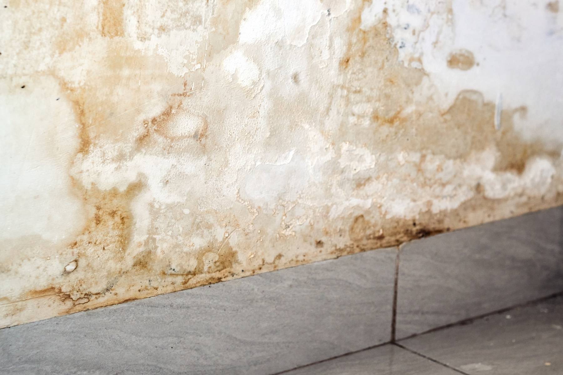 From Leak To Liability: How Water Ingress Affects Building Structure