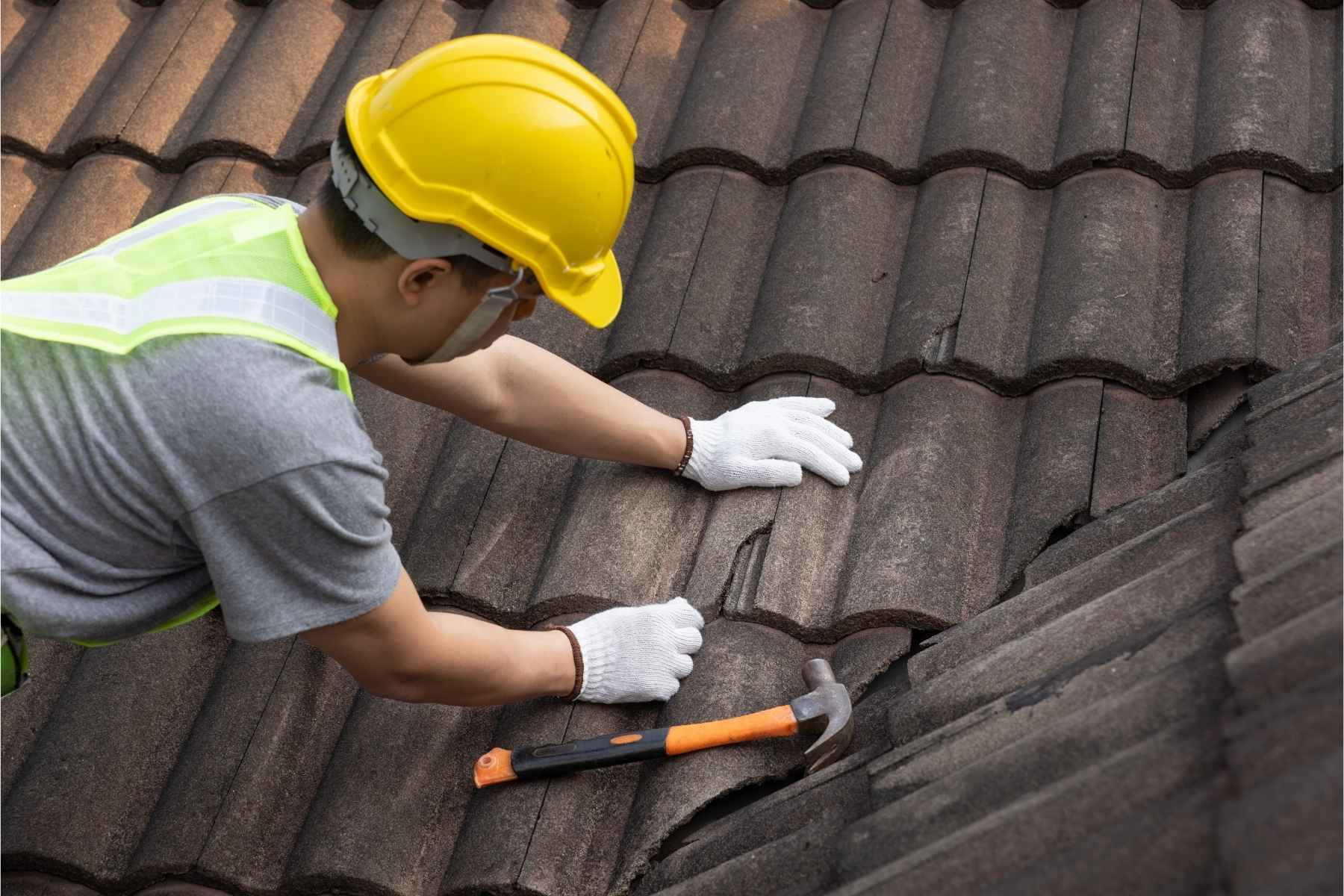 Building Repair: The Importance Of Roof Maintenance And Repair