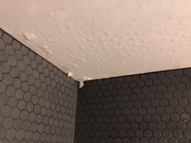 How To Spot Early Signs Of Water Damage In Buildings