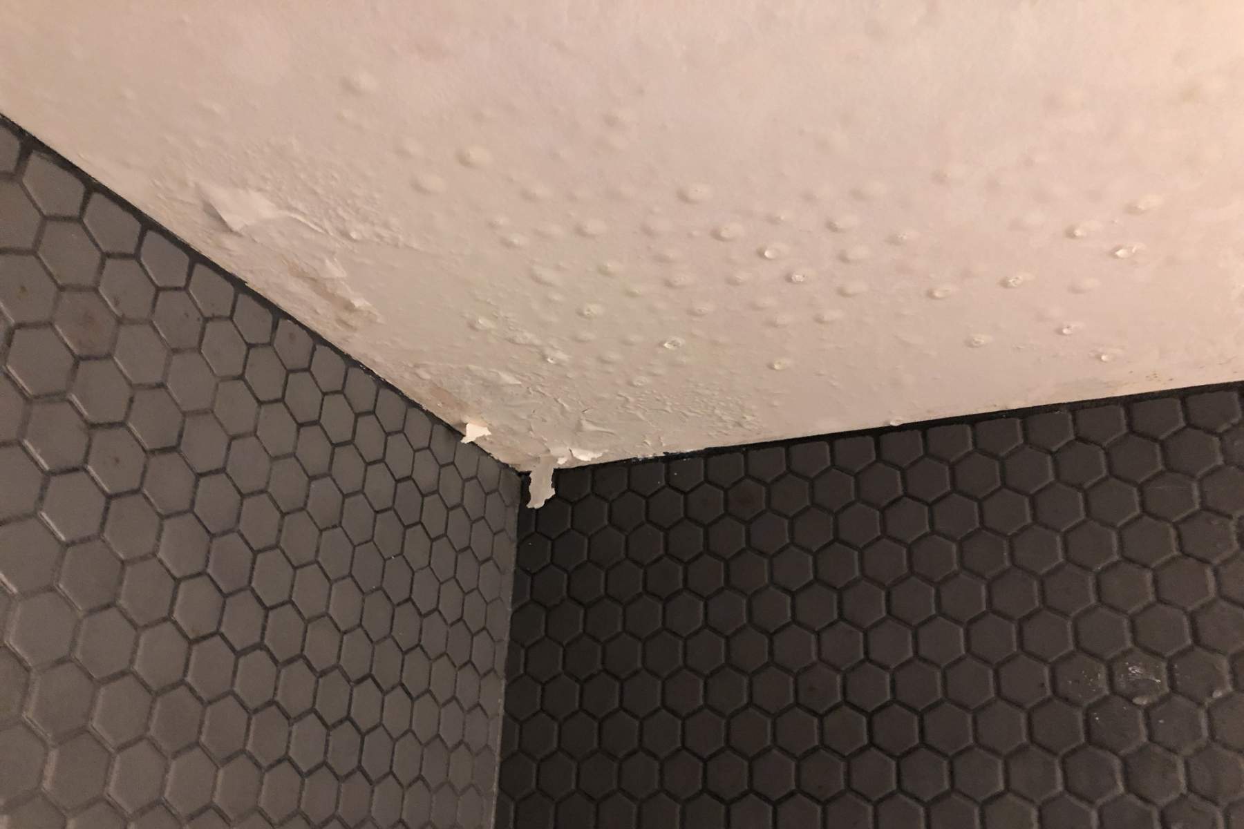 How To Spot Early Signs Of Water Damage In Buildings