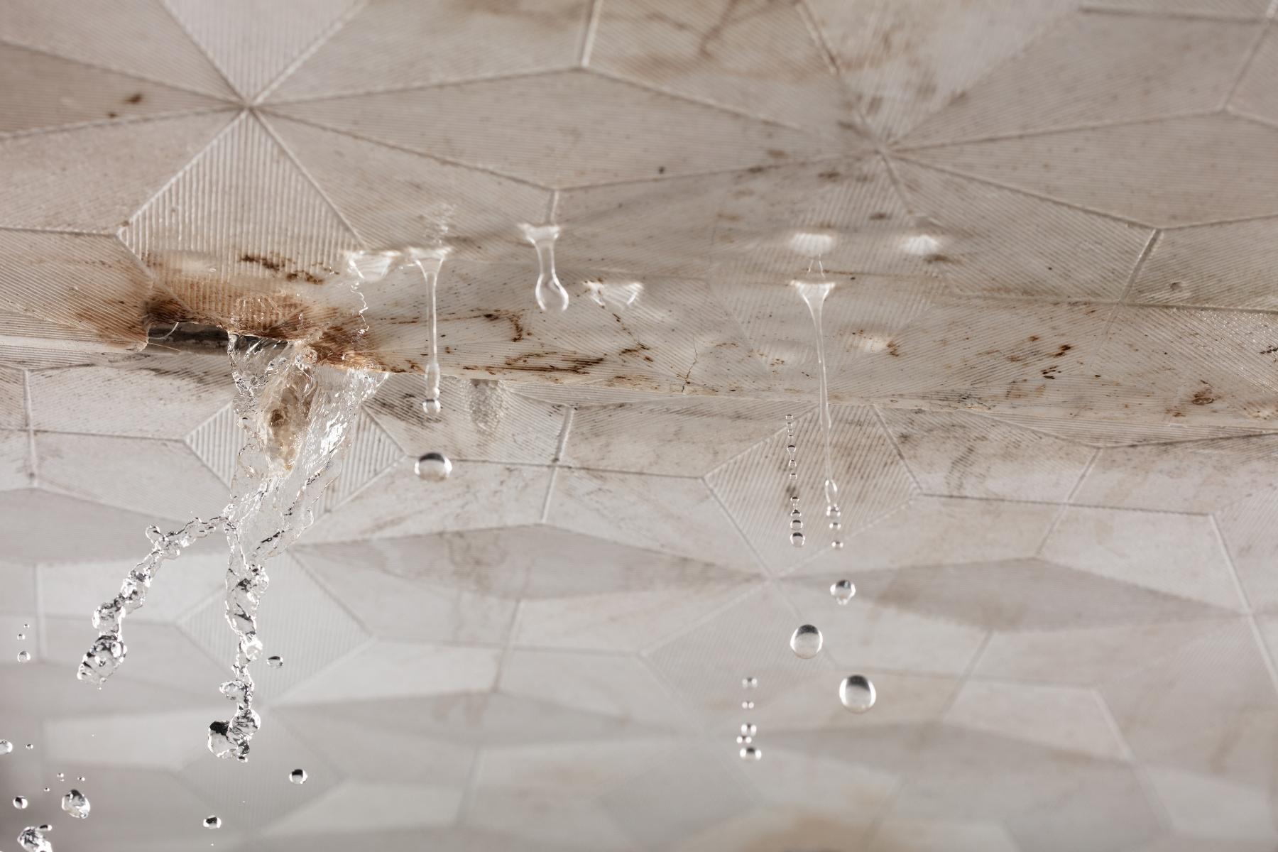 The Hidden Dangers Of Untreated Water Leaking: Beyond Just A Drip